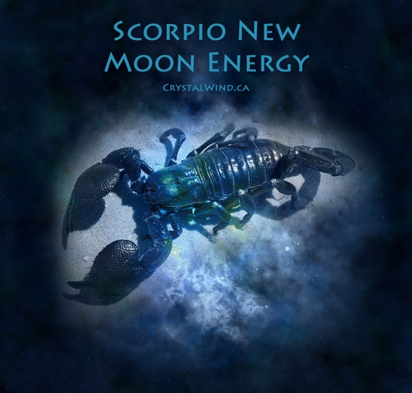 The New Moon in Scorpio