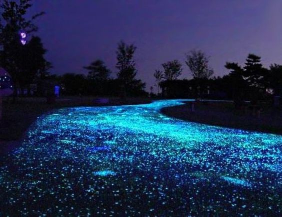 Navigating Your Embodiment - Council of Radiant Light embodiment