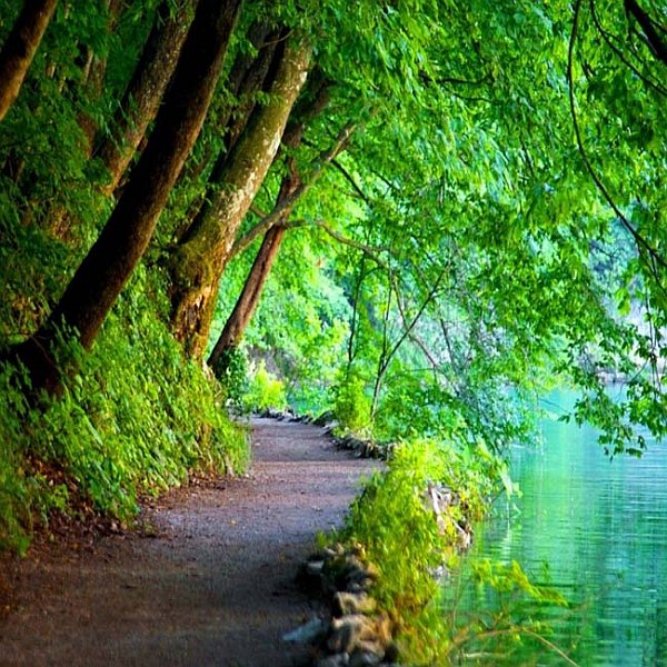 Focus on the Light Within You - Council of Radiant Light focus-light