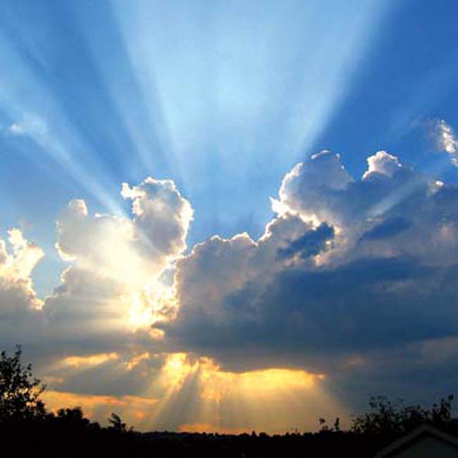 Living as Your True Self - Council of Radiant Light true-self
