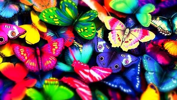 butterflies-dreams