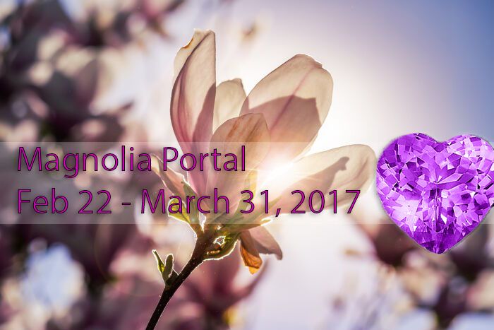 Magnolia Portal – Feb 22 – March 31 magnoliaportal