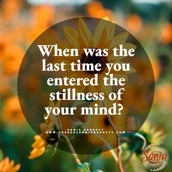 Entering The Stillness! Entering The Stillness!