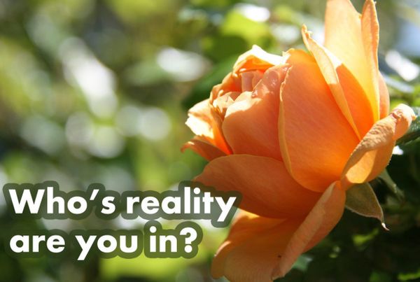 Who’s Reality Are You In? 7 Steps To Make Sure It’s Yours
