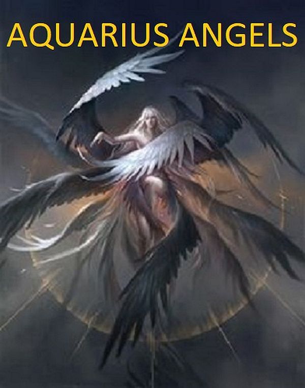 Angelic Guidance Supports Us During The Aquarius New Moon