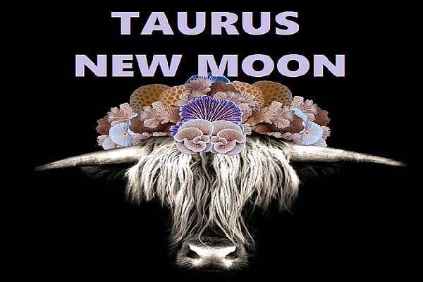 Embracing The Upcoming Taurus New Moon Energies ar1