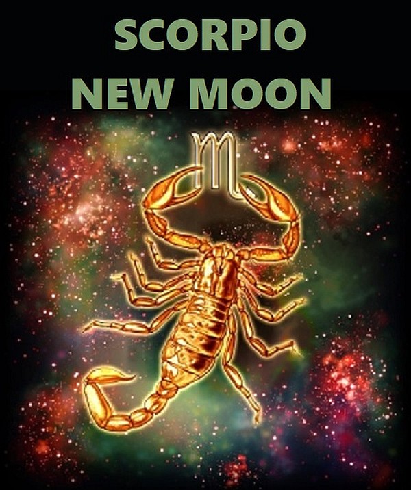The Spiritual Influence The Upcoming Scorpio New Moon Is Providing The Spiritual Influence The Upcoming Scorpio New Moon Is Providing