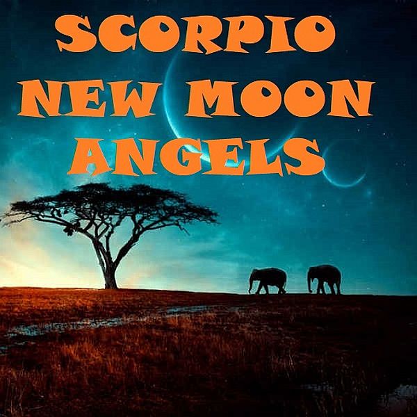 The Angelic Realm Are Guiding Us Trough The Scorpio New Moon