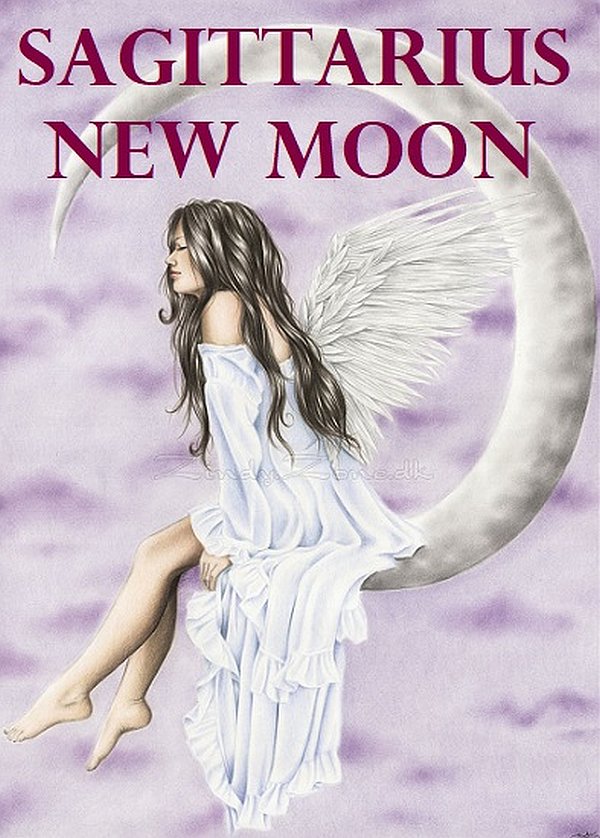 Angelic Guidance To Lead Us Through The Sagittarius New Moon Field