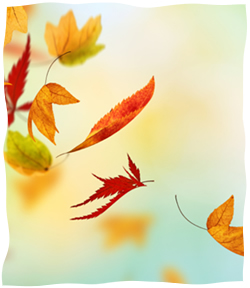 leaves_blowing_in_the_wind