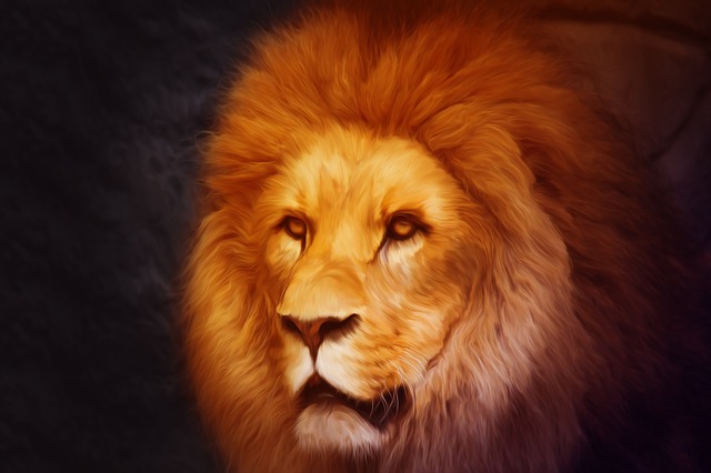 lion-portrait