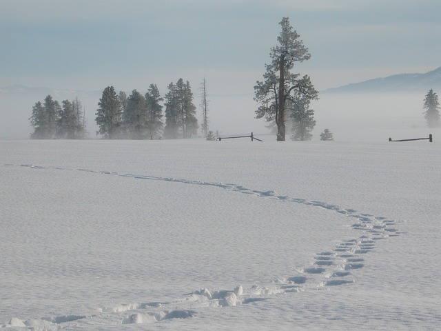 winter-in-the-mountains