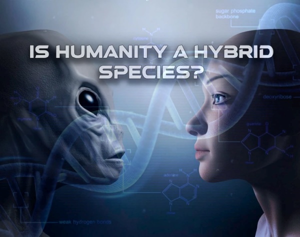 Is Humanity A Hybrid Species?
