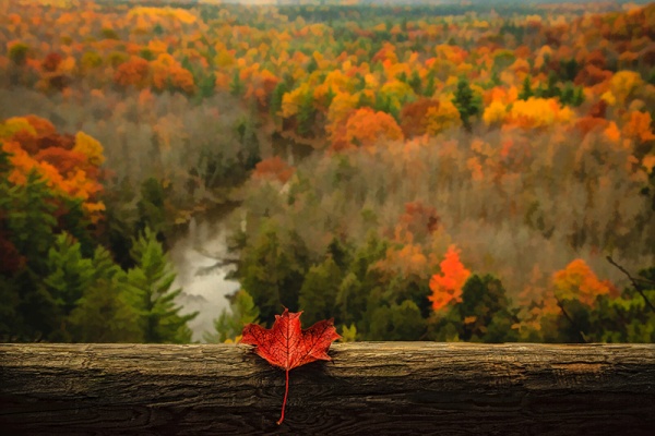 Simply Respond To What’s Unfolding Before You Simply Respond To What’s Unfolding Before You