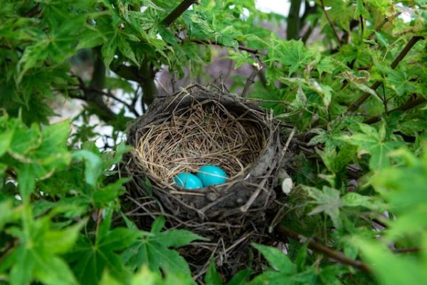A Story Of Hope And New Beginnings A Story Of Hope And New Beginnings