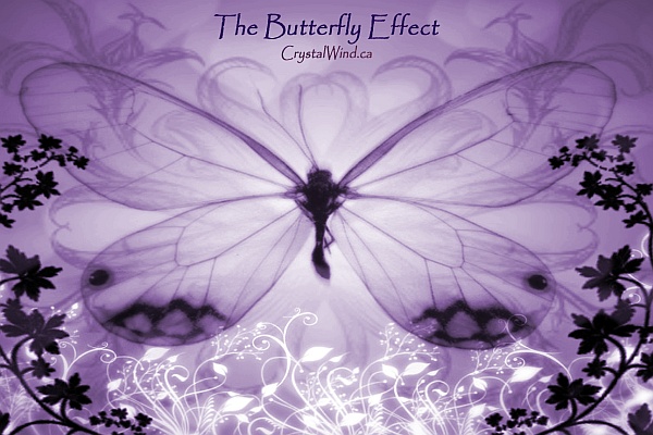 Channelings from the Masters: The Butterfly Effect butterfly