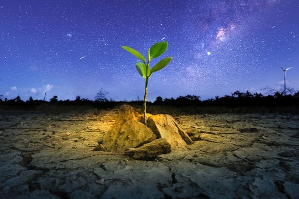 Mud or Stars? Mud or Stars?