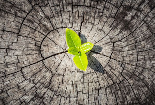 Solutions In The Midst of Adversity adversity