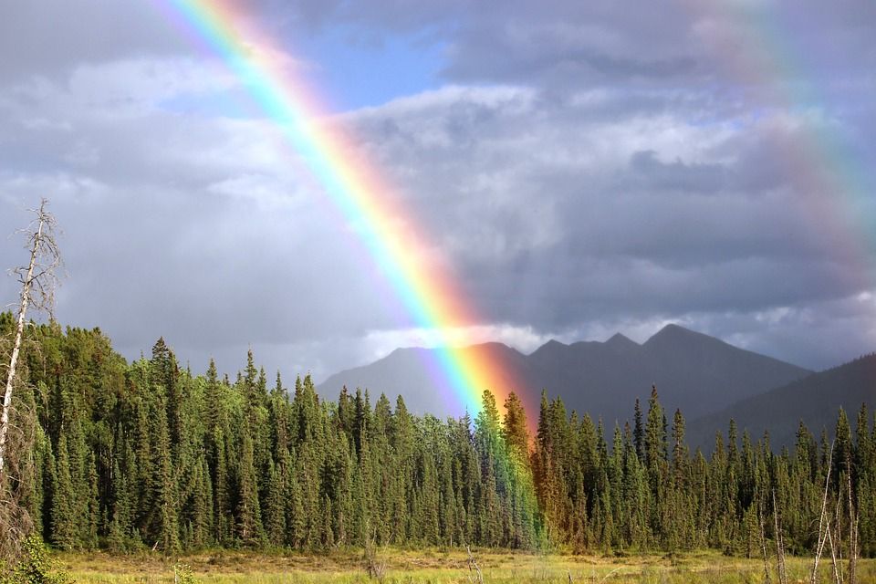 Under The Influence: Mind-Control rainbow