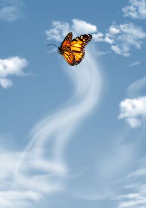 butterfly-in-sky