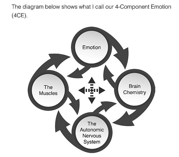 components-emotions
