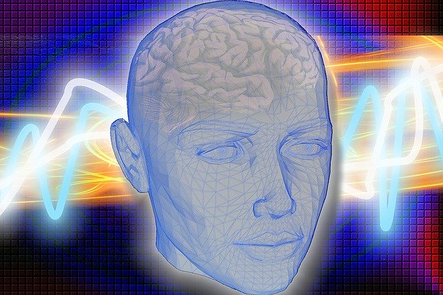 How Your Mind Can Impact Your Immune System How Your Mind Can Impact Your Immune System