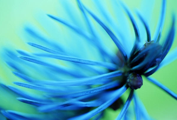 3 ways to practice Kindfulness 3 ways to practice Kindfulness