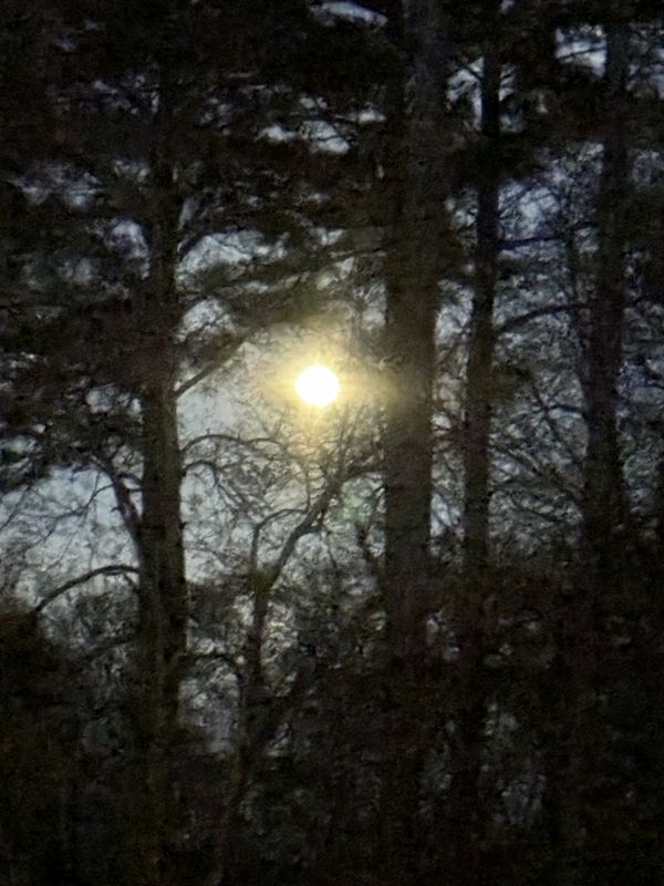 Goddess of Creation - Full Moon Eclipse Reflections Goddess of Creation - Full Moon Eclipse Reflections