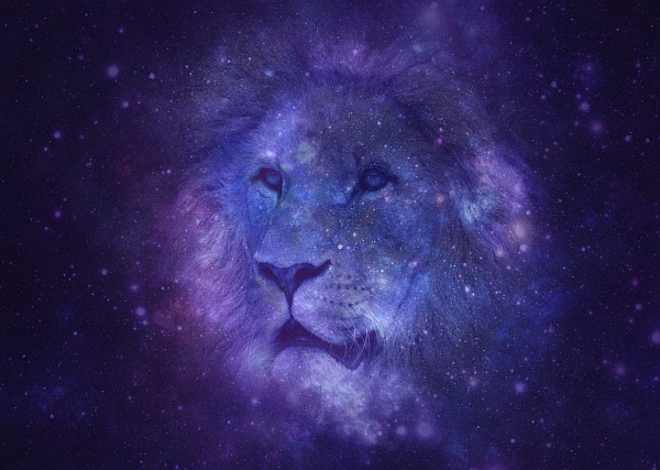 Daily Message August 08, 2019 - Goddess of Creation Daily Message August 08, 2019 - Goddess of Creation