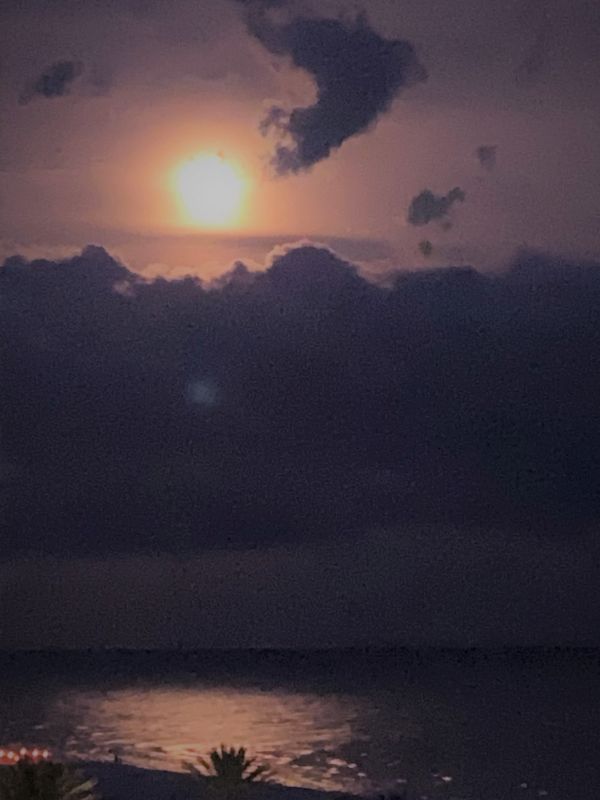 View from my friend’s balcony during the blood moon