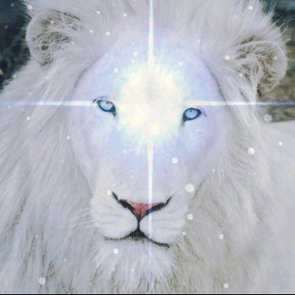 8/8 Lions Gate 2019 - Archangel Michael