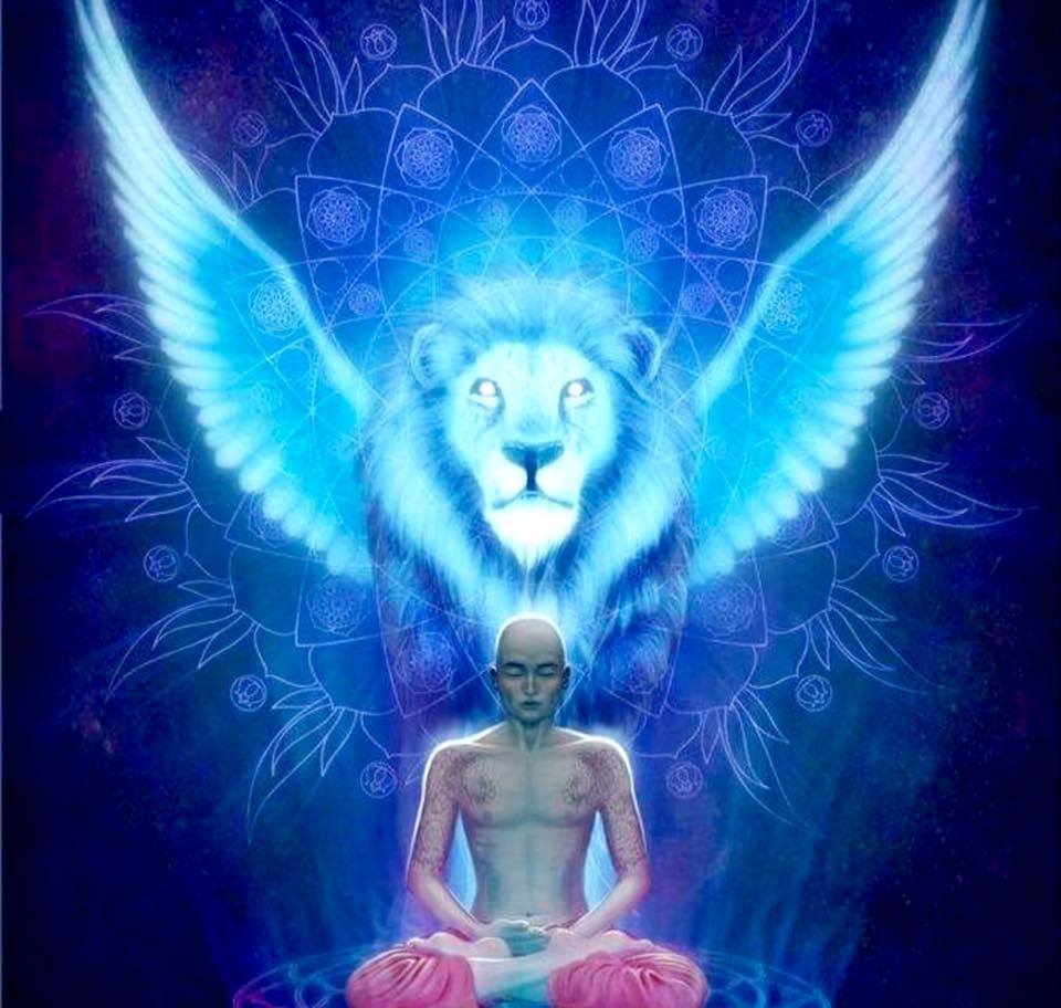 The Shift of 2017 and the Grounding of the Higher Consciousness Unified Field unified