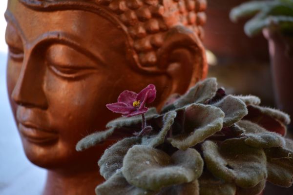 The Passage To The Full Moon/Wesak Moon The Passage To The Full Moon/Wesak Moon