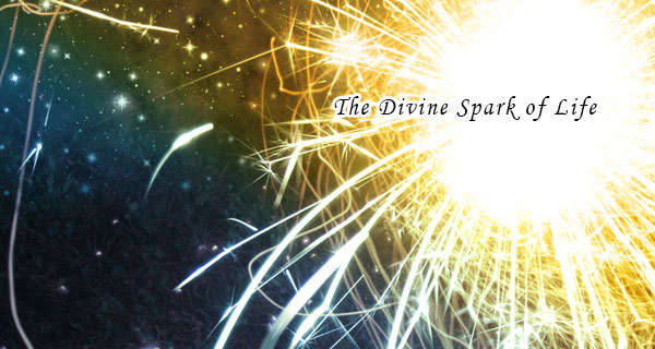 The Divine Spark of Life thedivinesparkoflife
