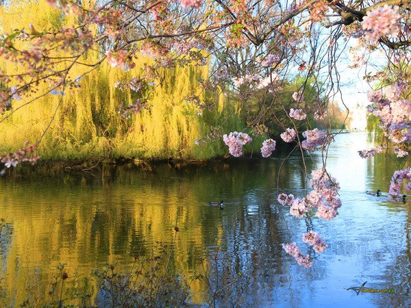 Lady Nada and Lord Sananda: Towards a Blissful World nada-sananda