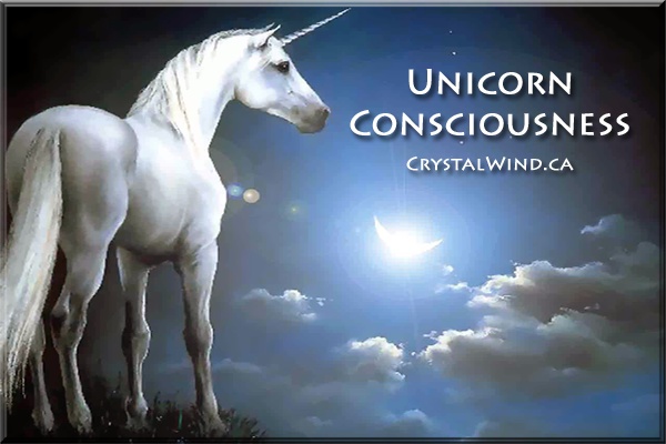 Era of Remembrance - Unicorn Consciousness unicorn con