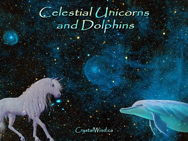 Full Being Imprinting of Magnificence by Celestial Unicorns and Dolphins Full Being Imprinting of Magnificence by Celestial Unicorns and Dolphins