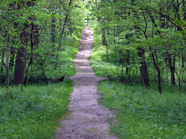 Followers Want Instant Gratification Followers Want Instant Gratification