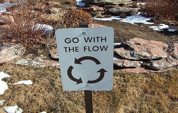 Go With the Flow go flow