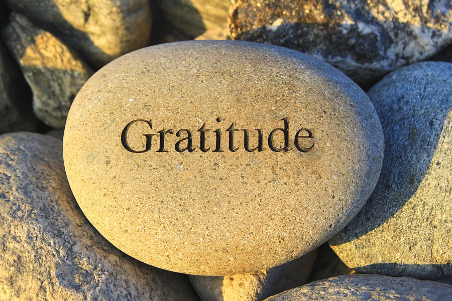 You’re Your Own Report gratitude-rock