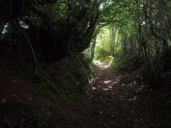 Channeled Message: Overgrown Path or Superhighway?