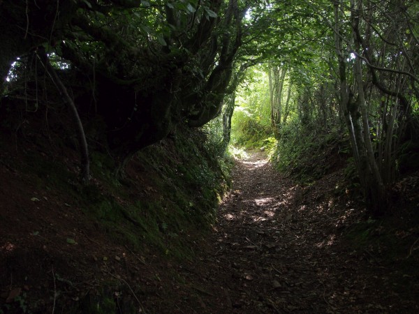 Channeled Message: Overgrown Path or Superhighway? Channeled Message: Overgrown Path or Superhighway?