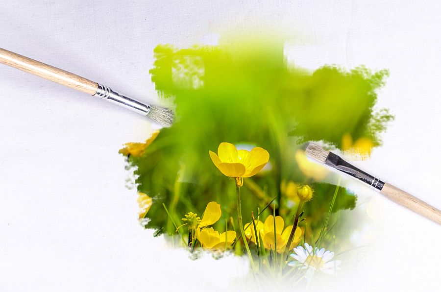 Revising Your Paint Palate paint-palette