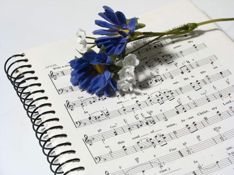 You’ve Added a New Sense to Your Repertoire repertoire