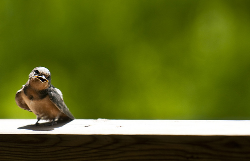 Self-Kudos and Self-Direction are Called For self-direction