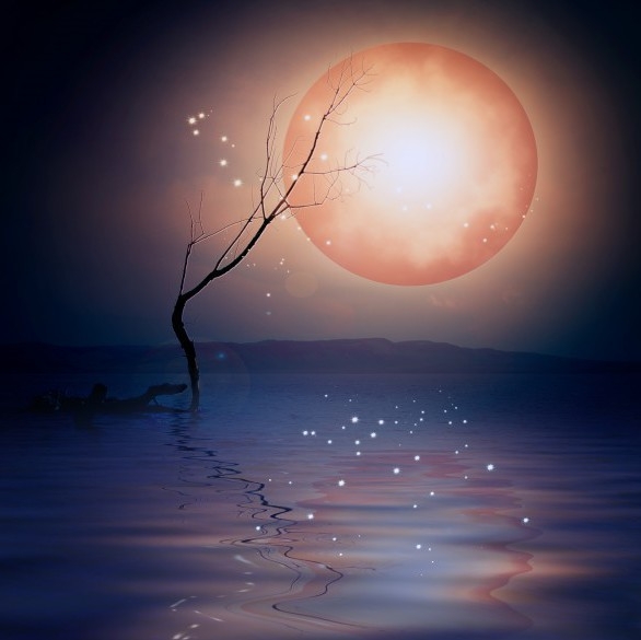 This MOON! This MOON!
