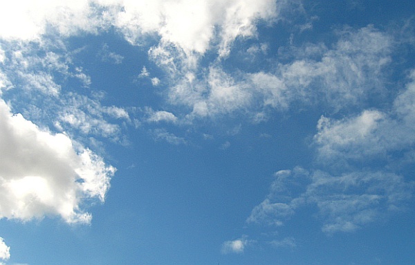 Wholeness: One and Many Wholeness: One and Many