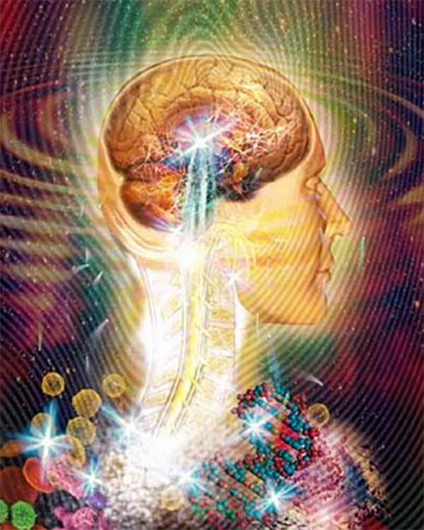 The Mass Upgrading on Planetary and Galactic Core Levels pineal