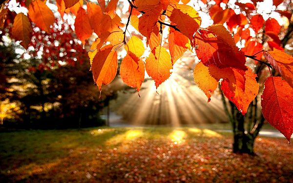 The Equinox, September 23rd, 2019 ~ Life and Death; Rebirth The Equinox, September 23rd, 2019 ~ Life and Death; Rebirth