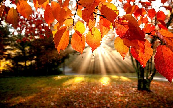 Autumn Equinox, September 22nd, 2018 ~ The Shift